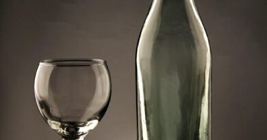 A UTOPIA DE NÃO ESTÁ SÓ: GARRAFA VAZIA